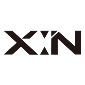 X:IN