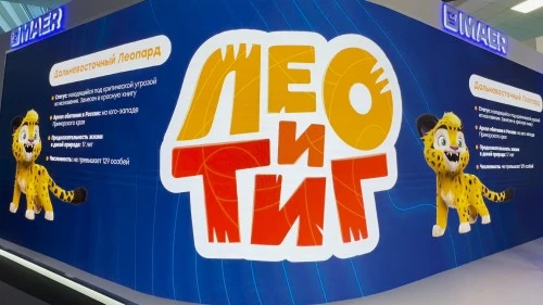 Лео и Тиг встречают гостей ВЭФ!