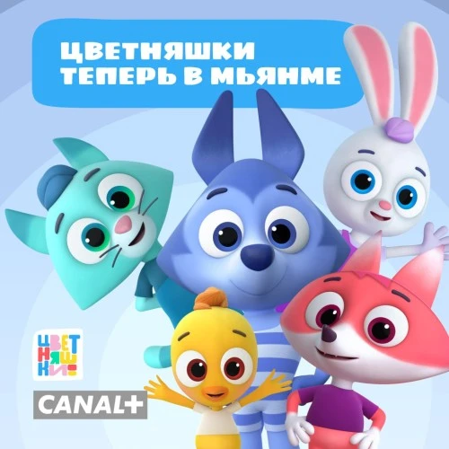 «Цветняшки» скоро станут доступны для просмотра в Мьянме